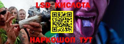 индика Рыбинск