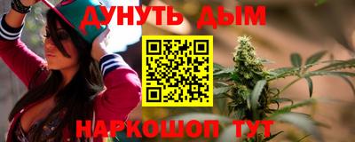 индика Рыбинск