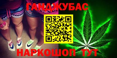 индика Рыбинск