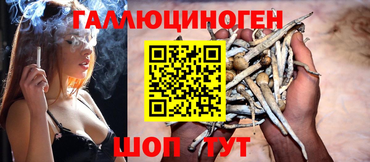 Псилоцибиновые грибы ЛСД Сухой Лог